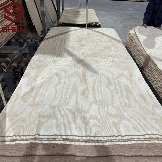 Ván Veneer Tần Bì