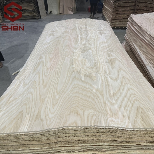 Ván Veneer Tần Bì