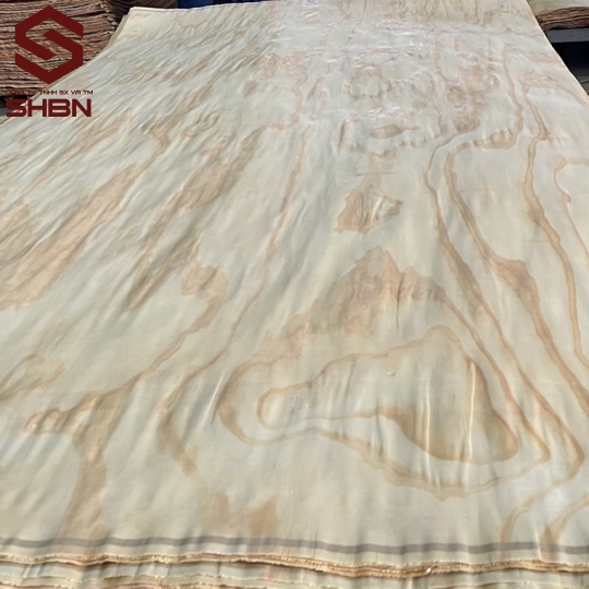 Veneer mặt Thông 
