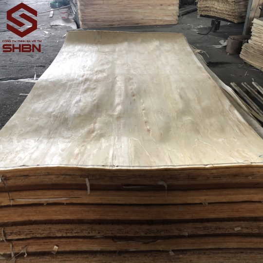 Veneer mặt Thông 