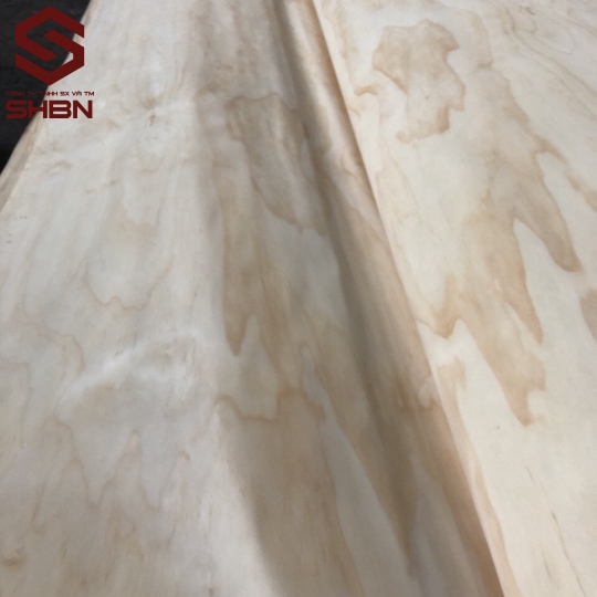 Veneer mặt Thông 