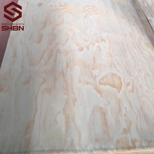 Veneer mặt Thông 