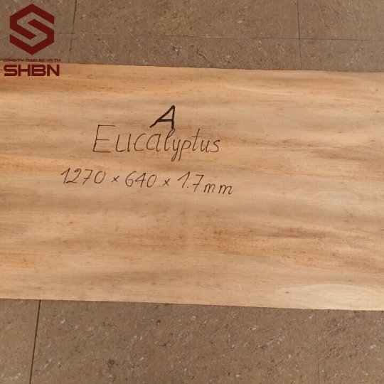 Ván ruột bạch đàn (Veneer core) 1