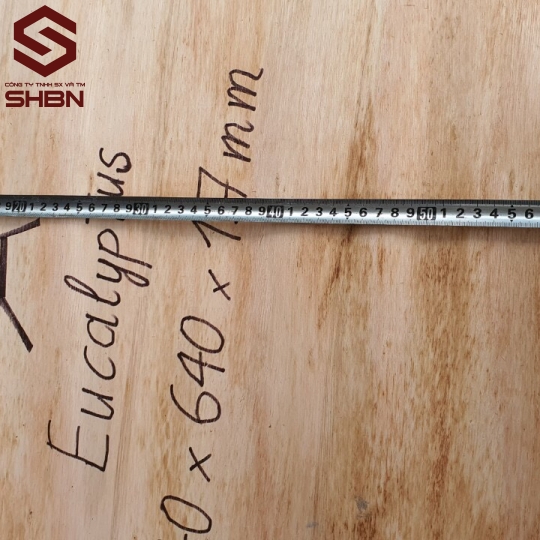 Ván ruột bạch đàn (Veneer core) 1