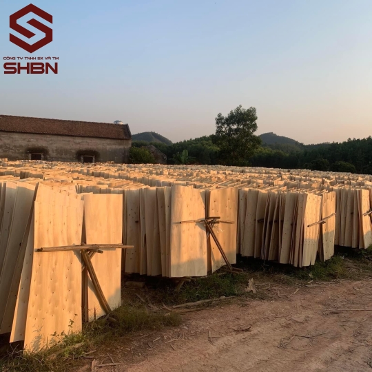 Ván ruột bạch đàn (Veneer core) 1