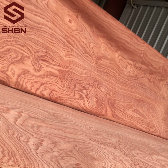 Ván veneer Xoan đào (Face Veneer Sapele)